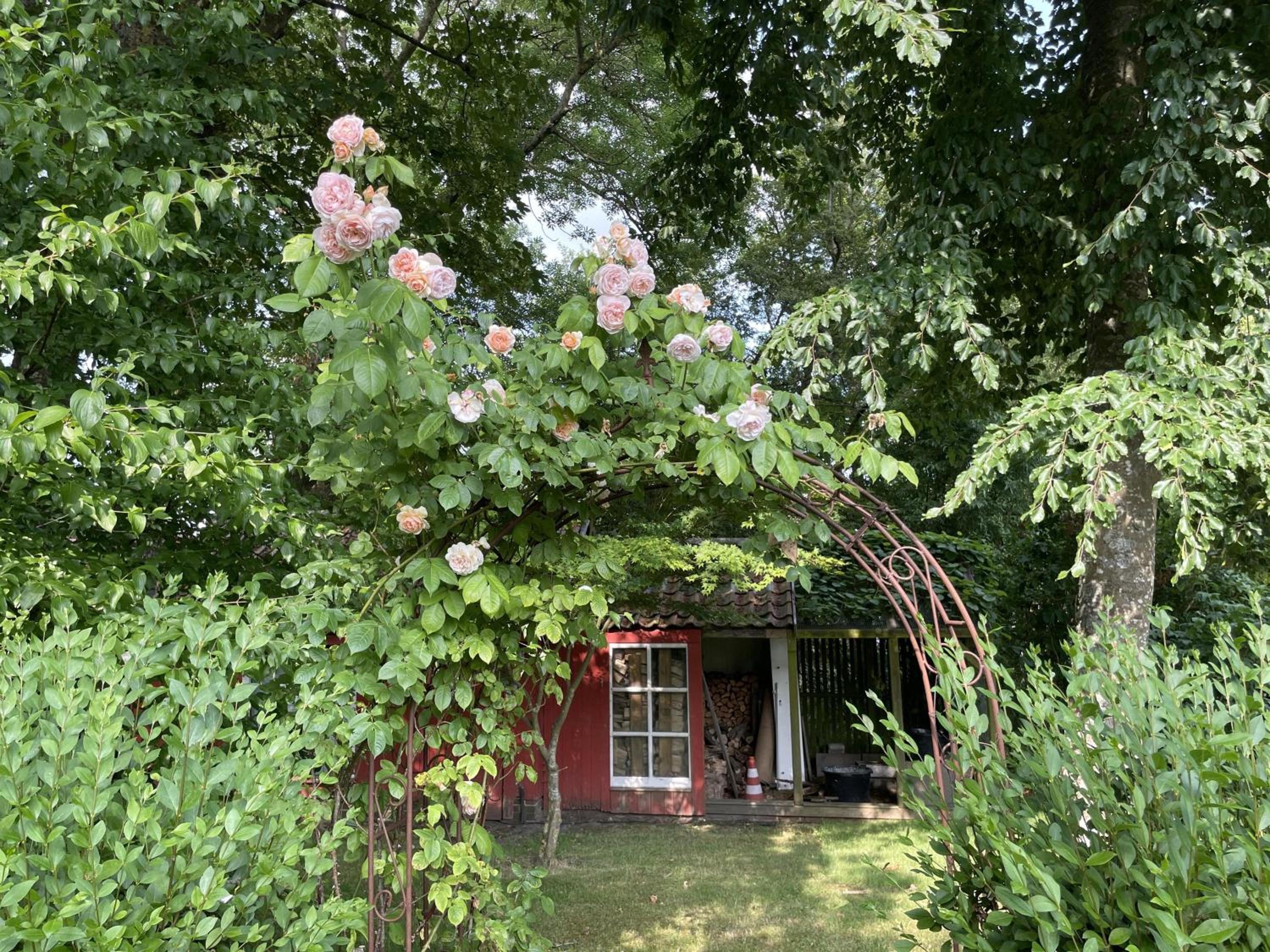 Ferienwohnung