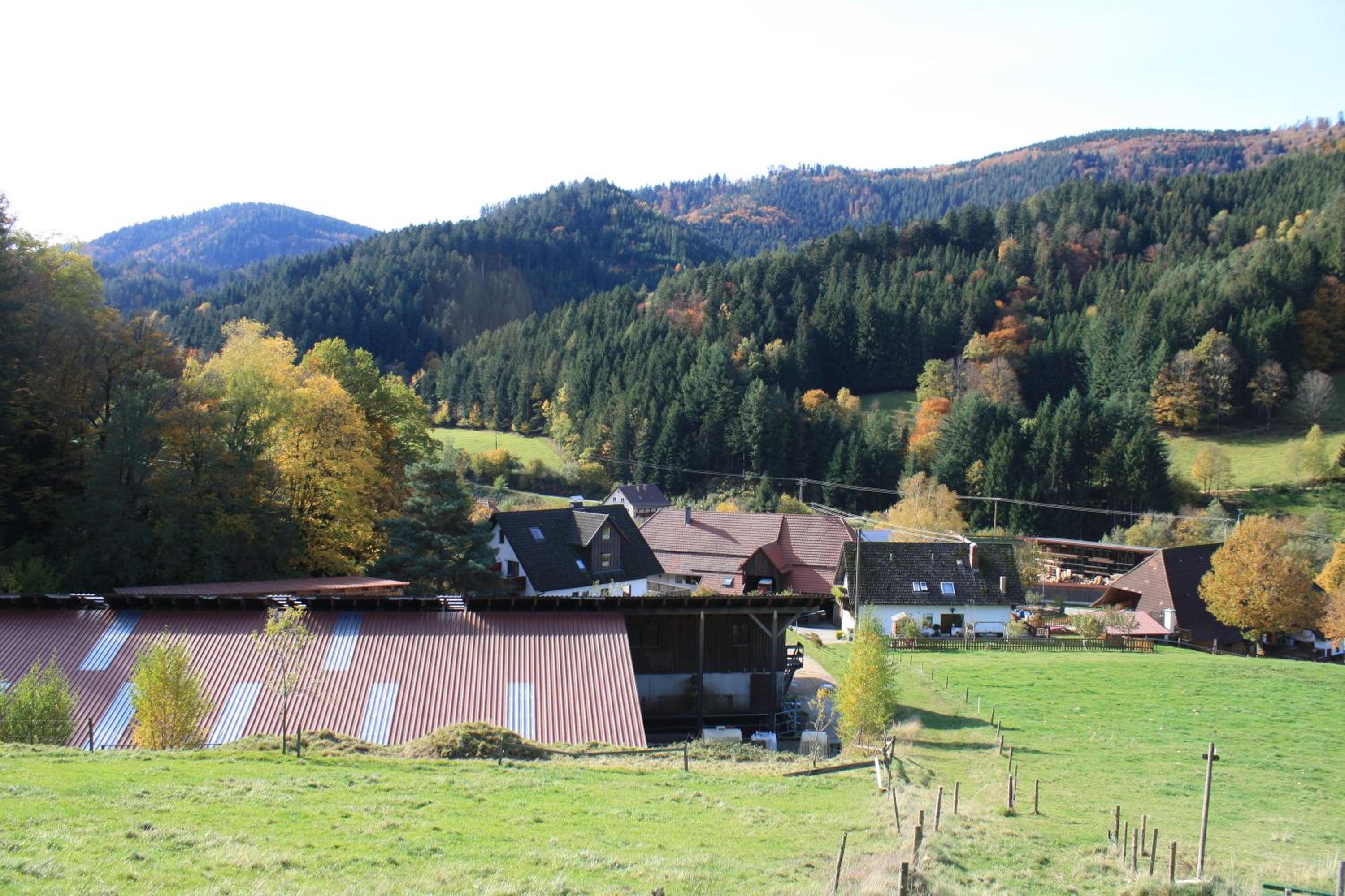 Grundhof 2