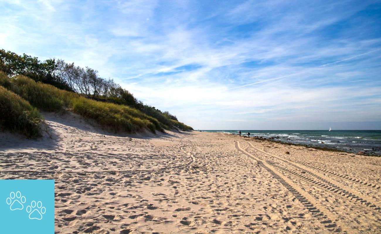 Bungalow RUHE UND STURM direkt am STRAND mit KAMIN nur für ERWACHSENE
