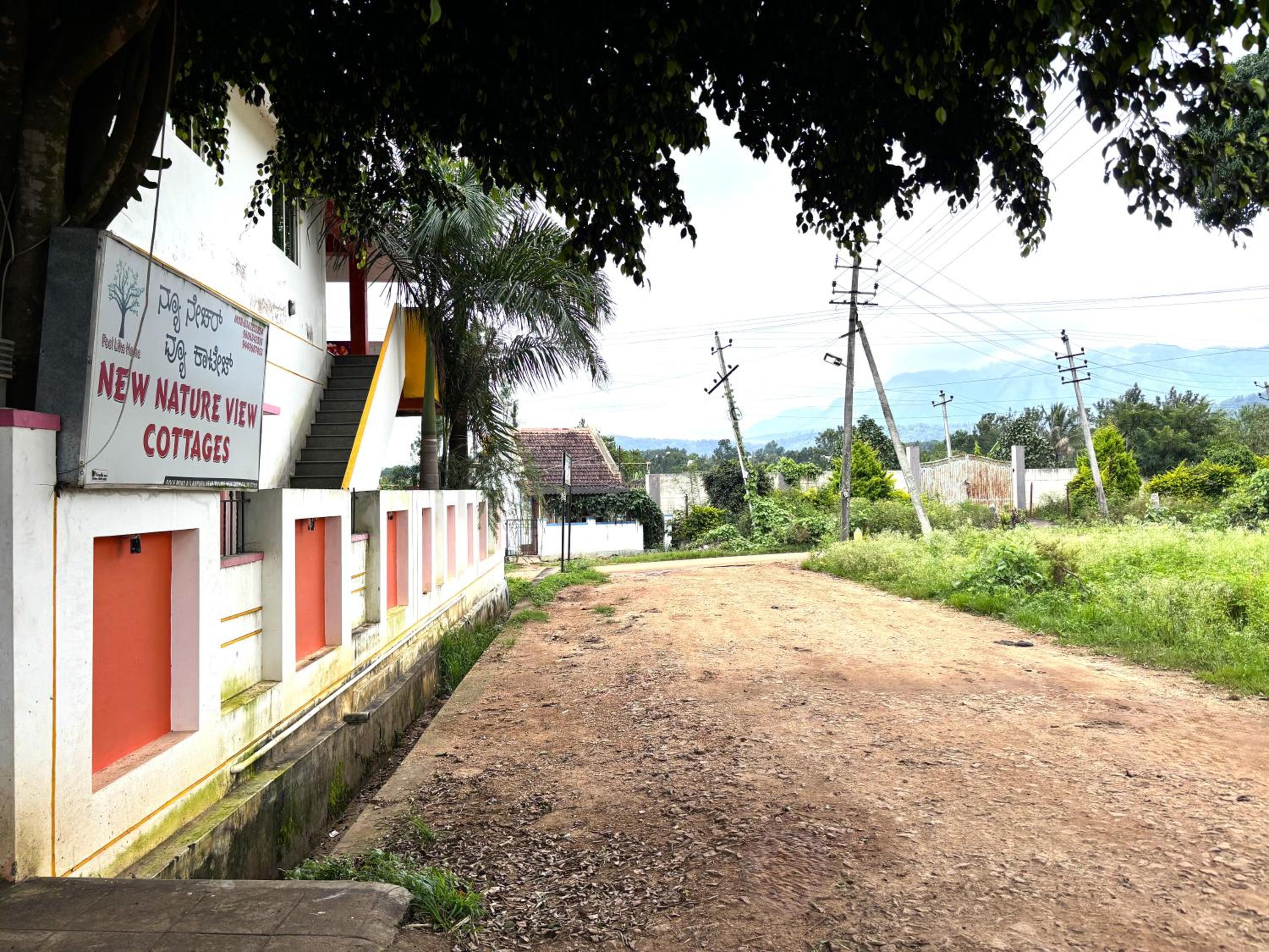 Photo 45