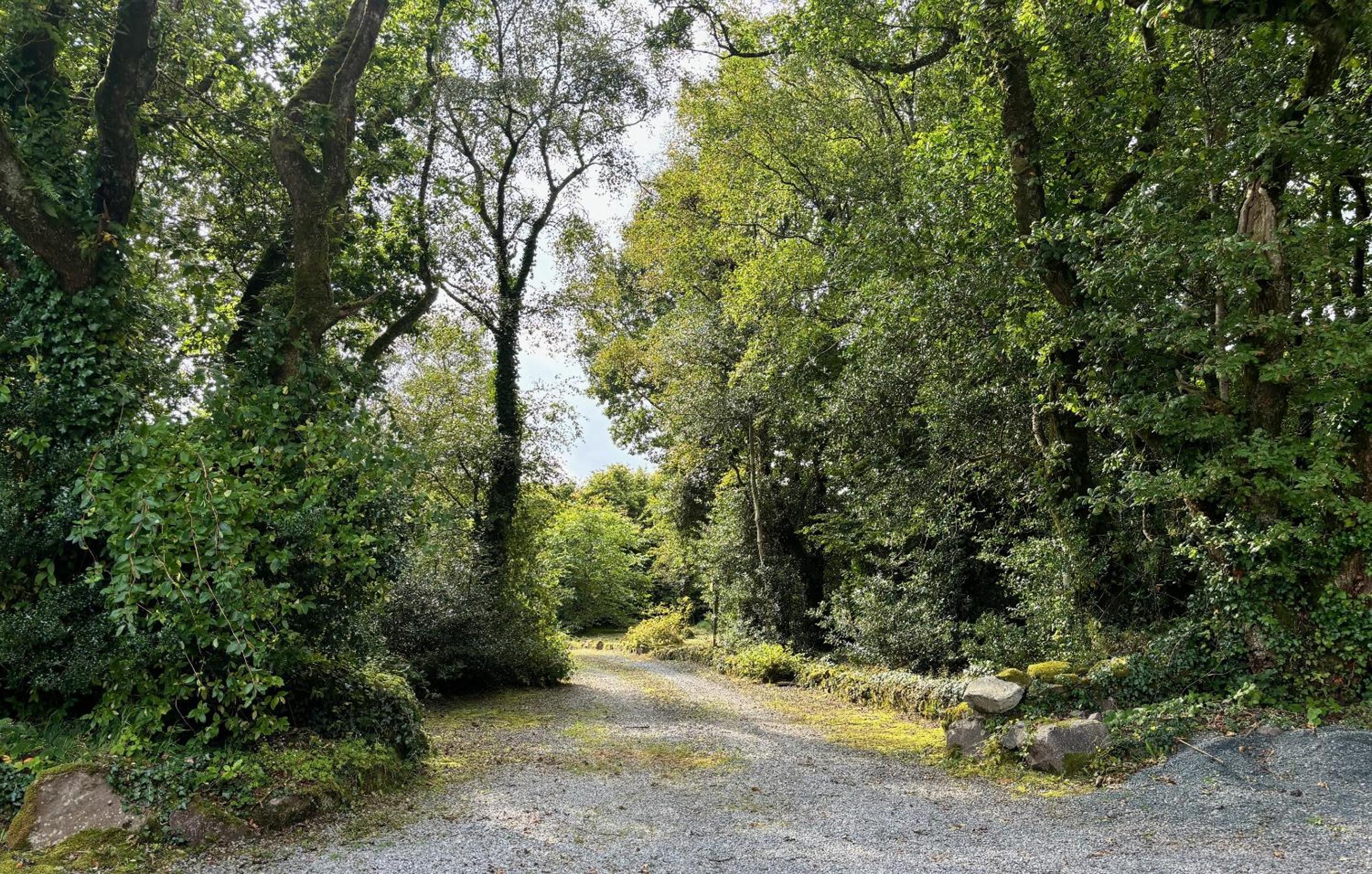 Sligo Forest Retreat