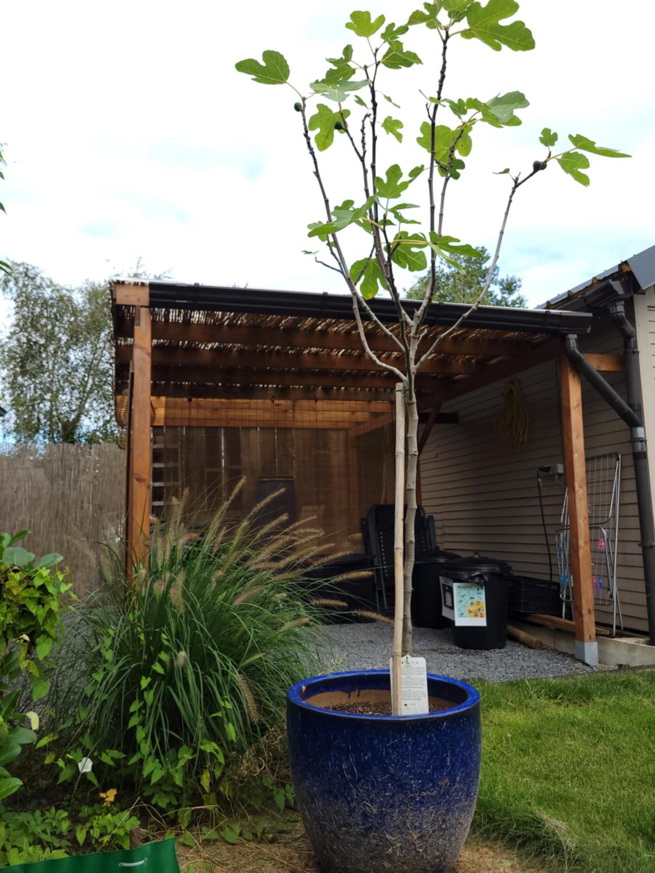 Photo 19
