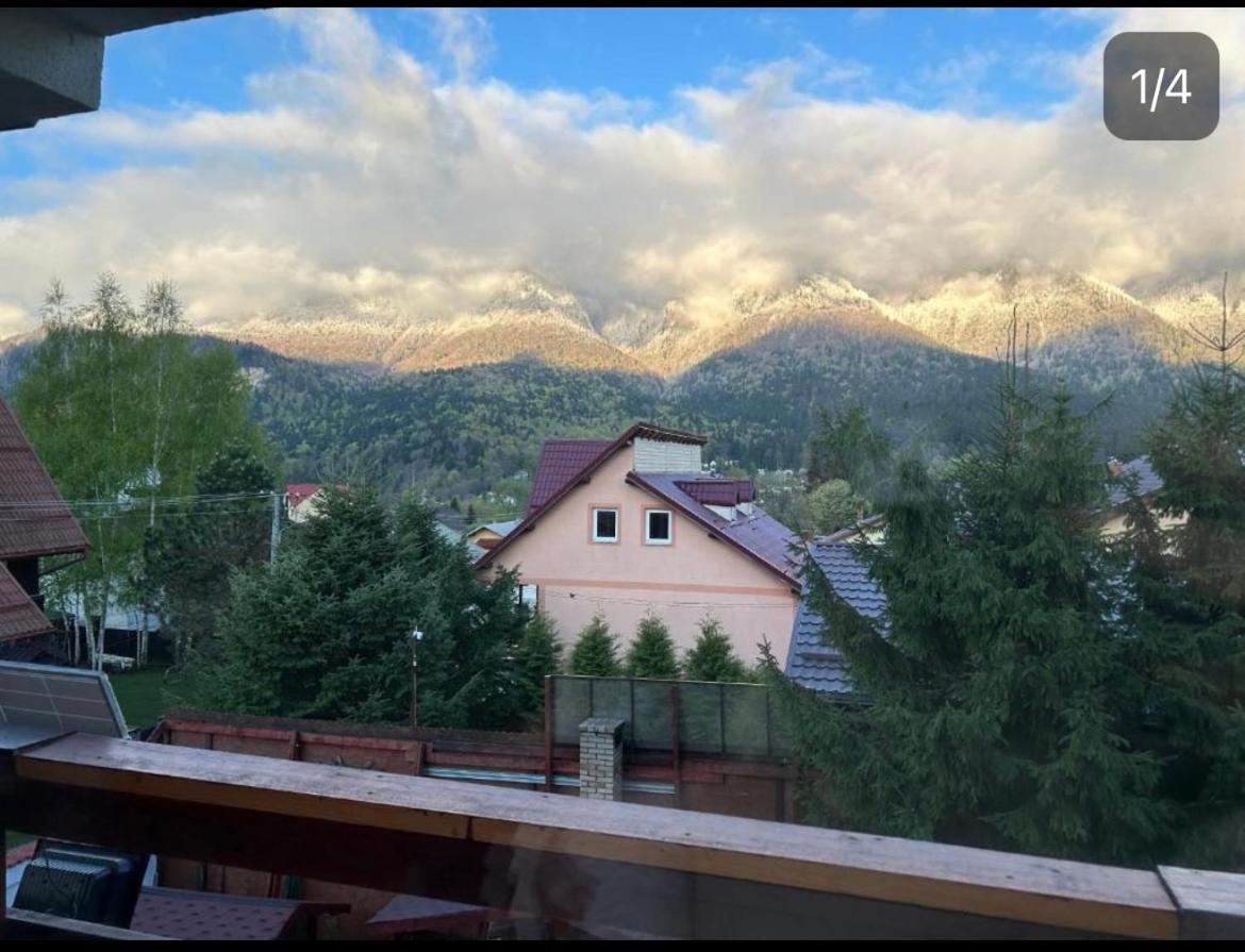 Venus - Apartamente de închiriat