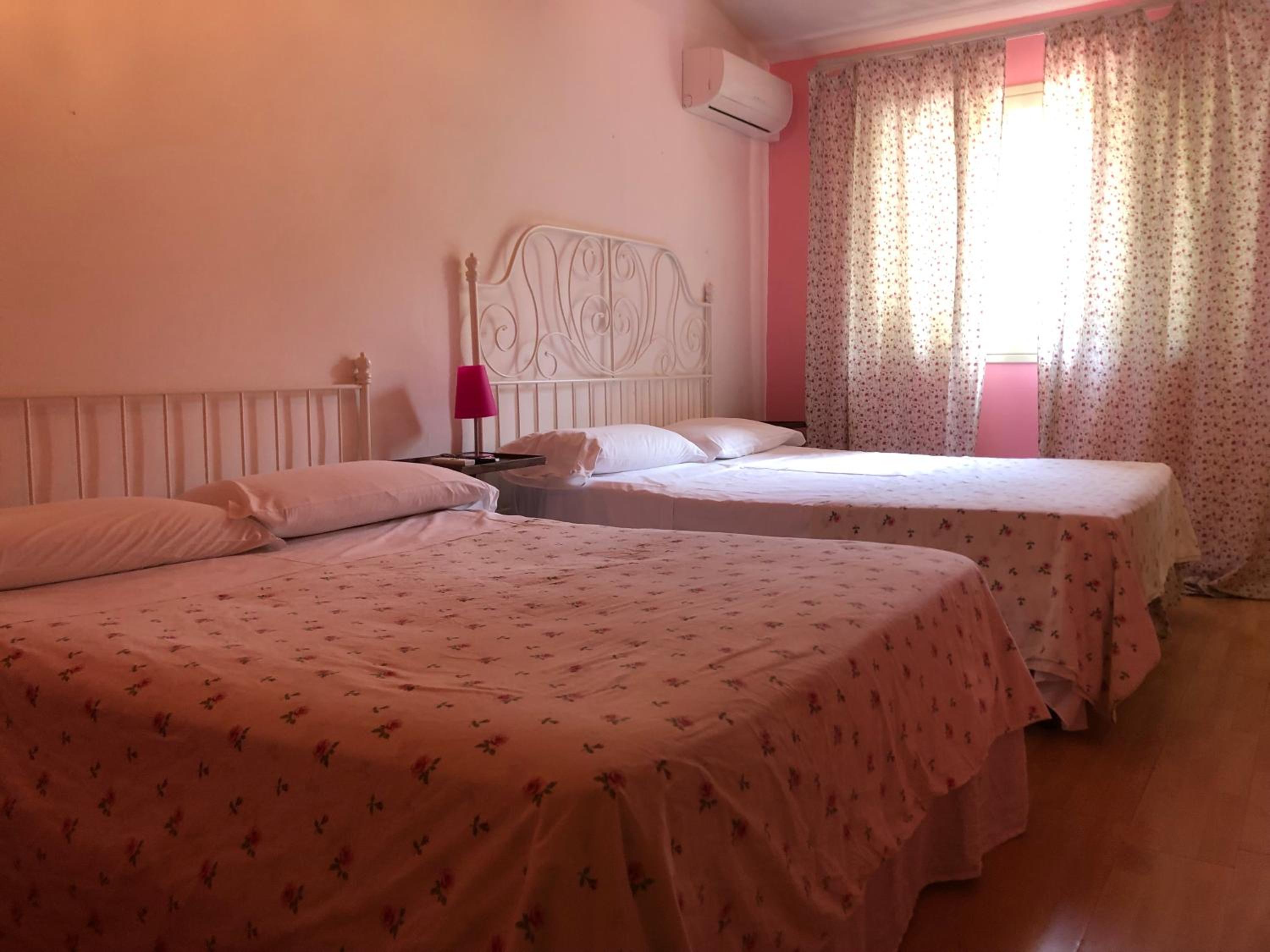 B&B Xenia