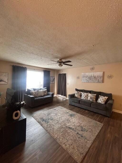 Nice urban 1 bedroom apartment - Property Image 3