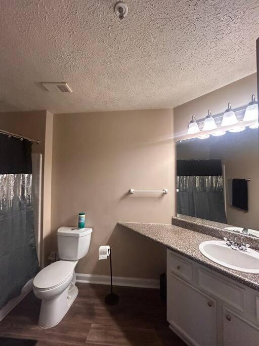Nice urban 1 bedroom apartment - Property Image 8