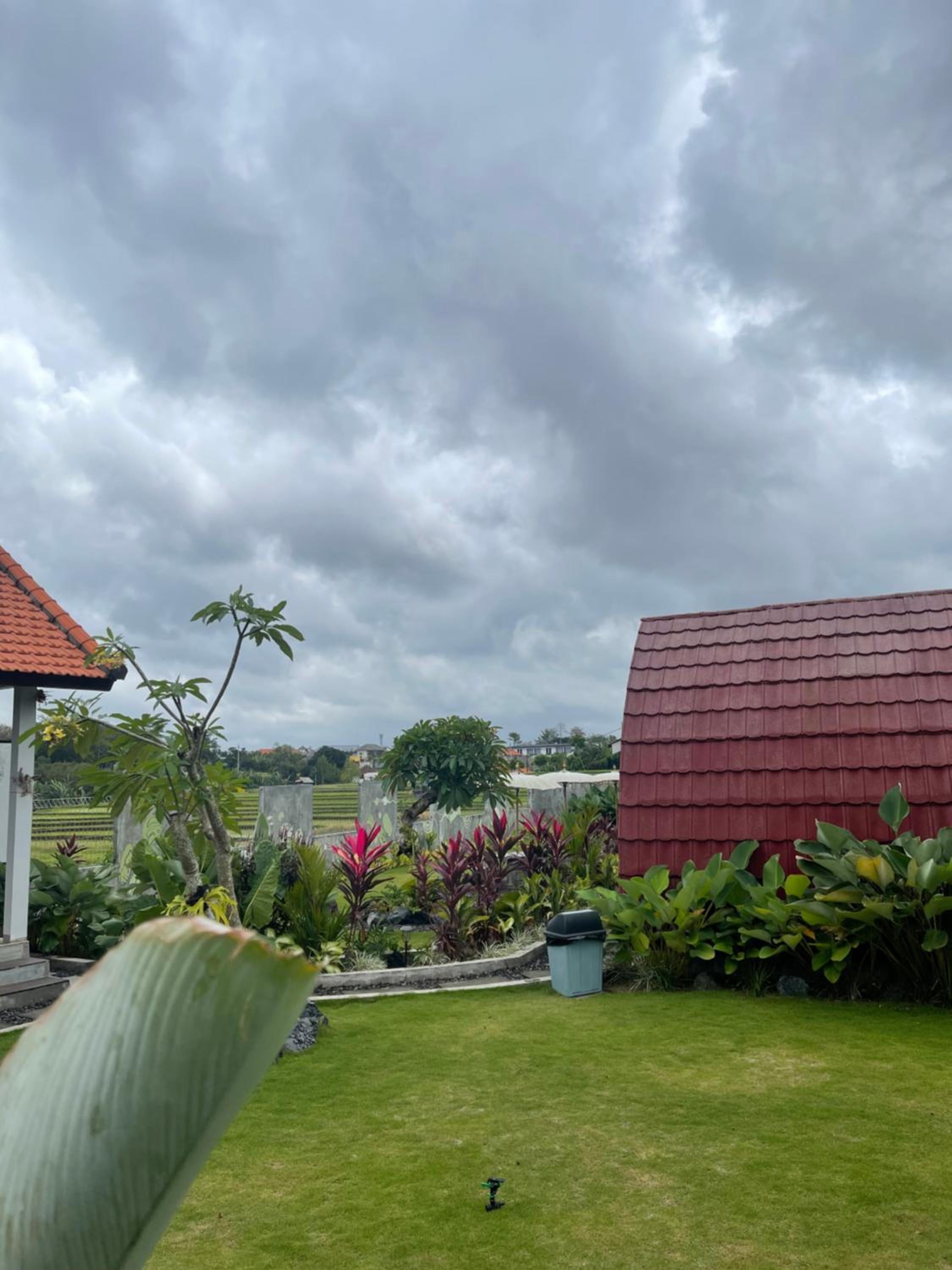 Lumbung Kubu Canggu view 2