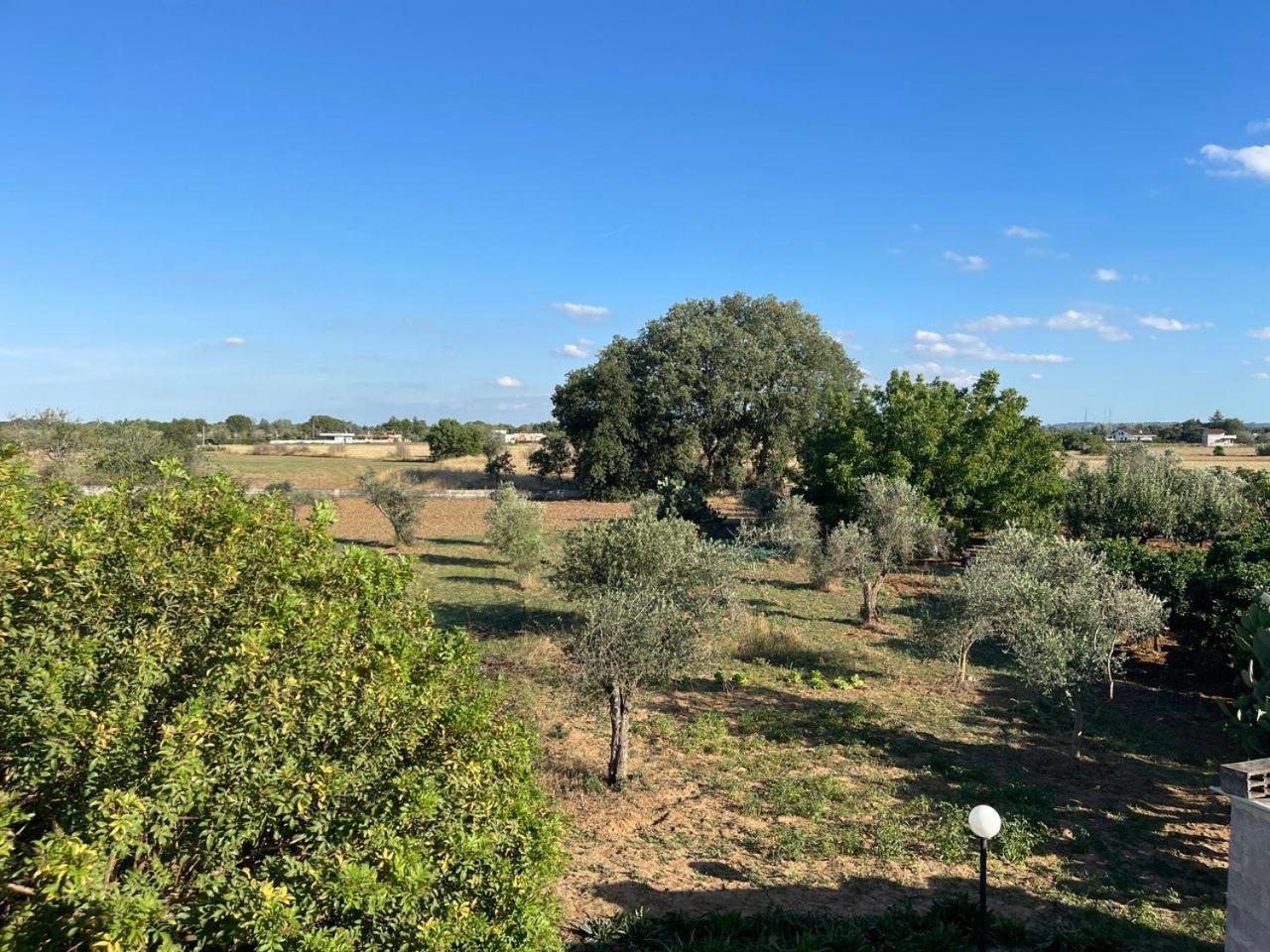 Cascina Vittorio, Relax in campagna con barbecue vicino Gallipoli