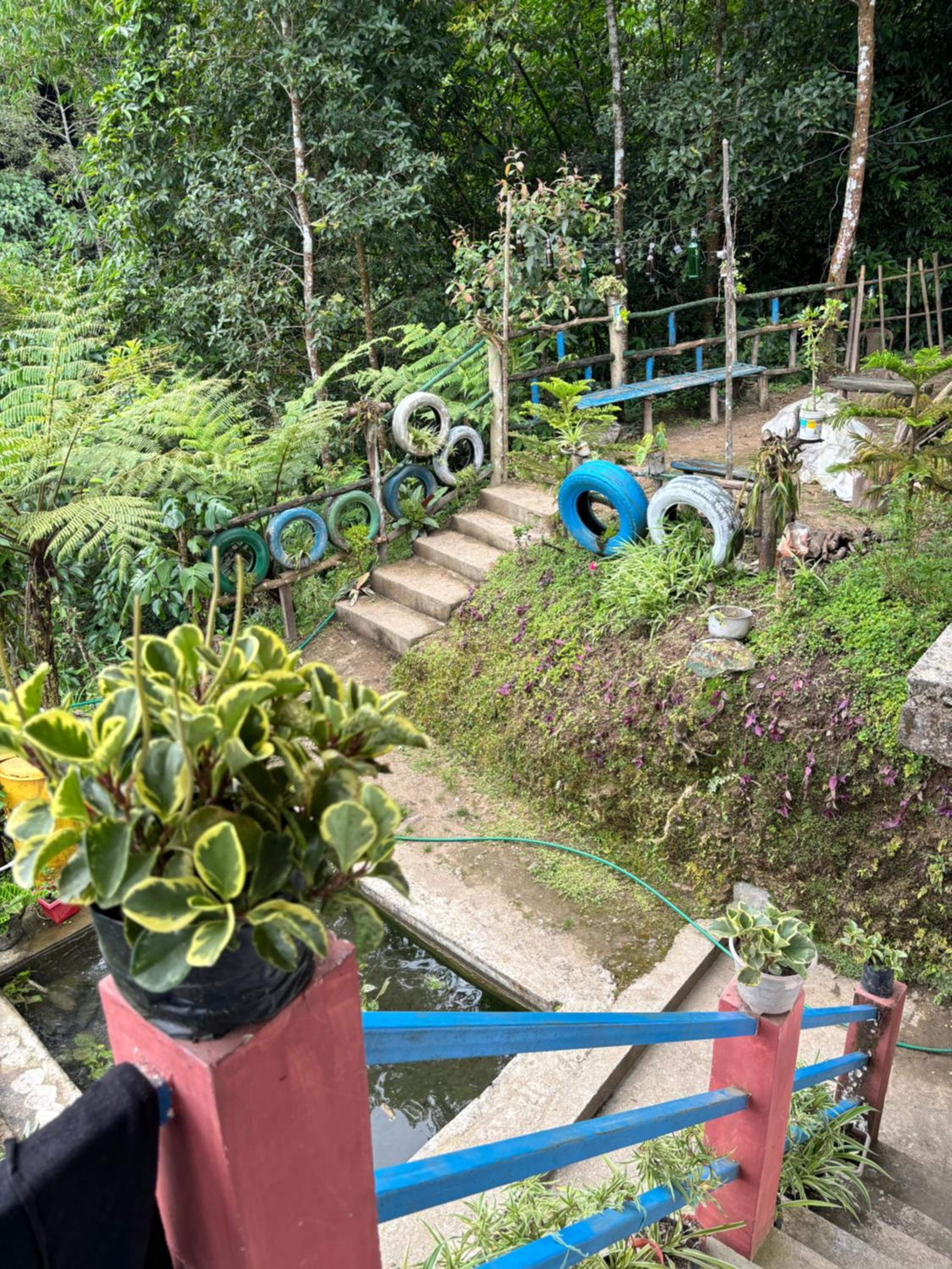 Hosanna Homestay