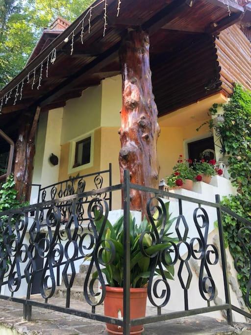 Cabana Paulino
