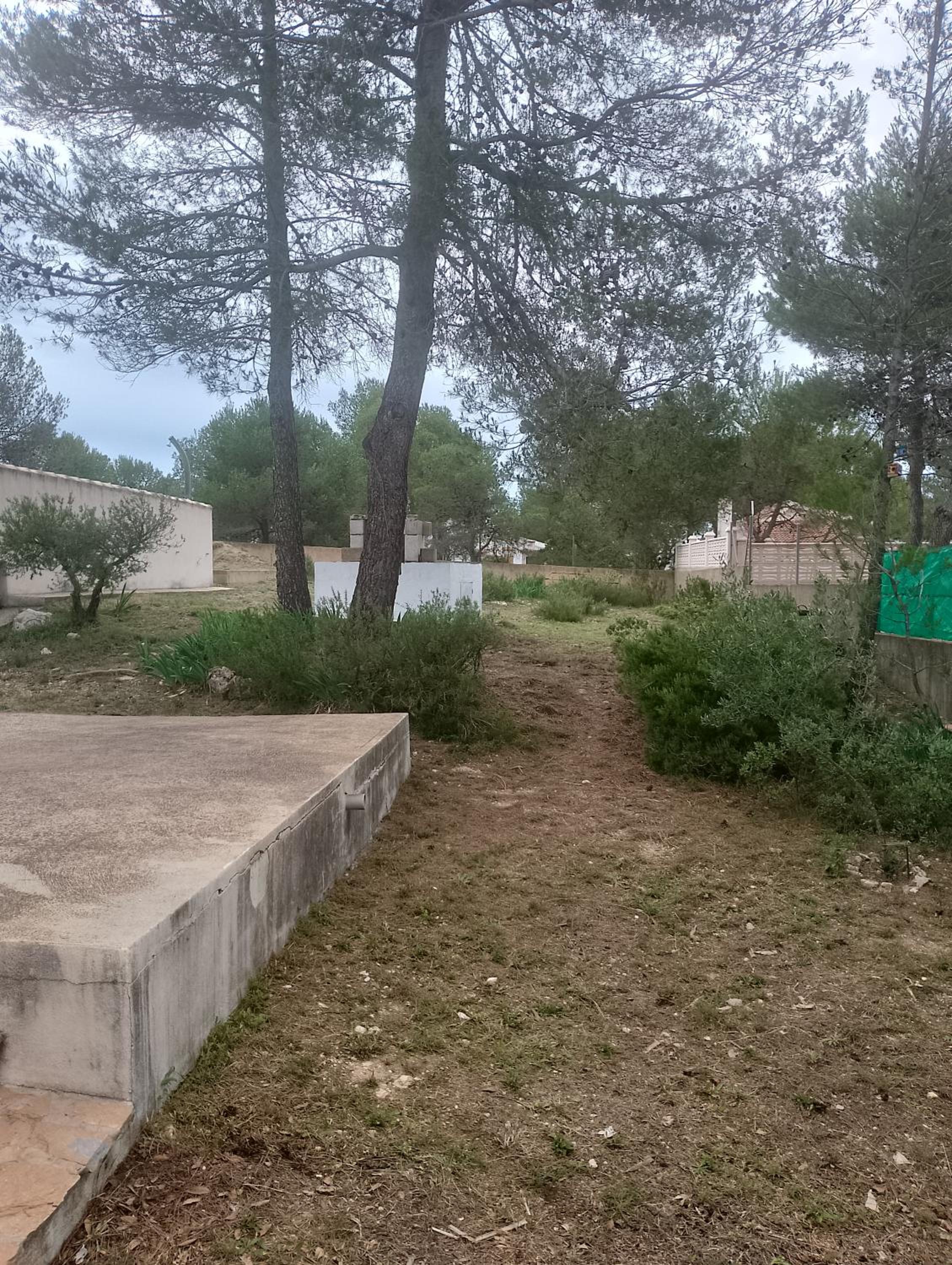 Casa Refugio Entre Pinos y Romeros