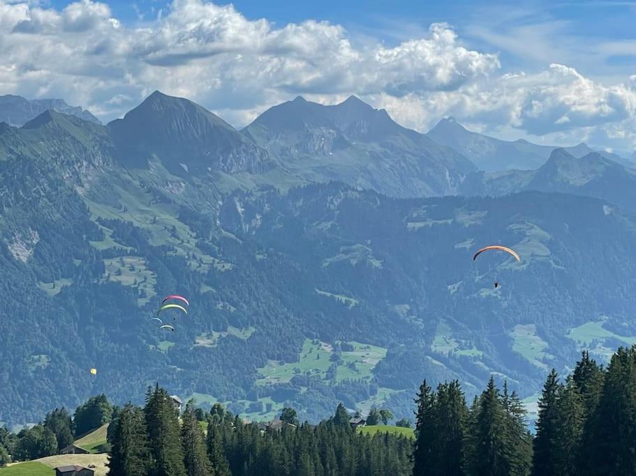 Apartment im 4-Sterne Berghotel über Interlaken-Thunersee