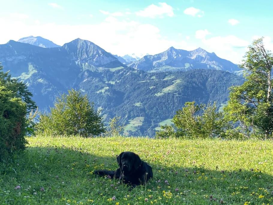 Apartment im 4-Sterne Berghotel über Interlaken-Thunersee