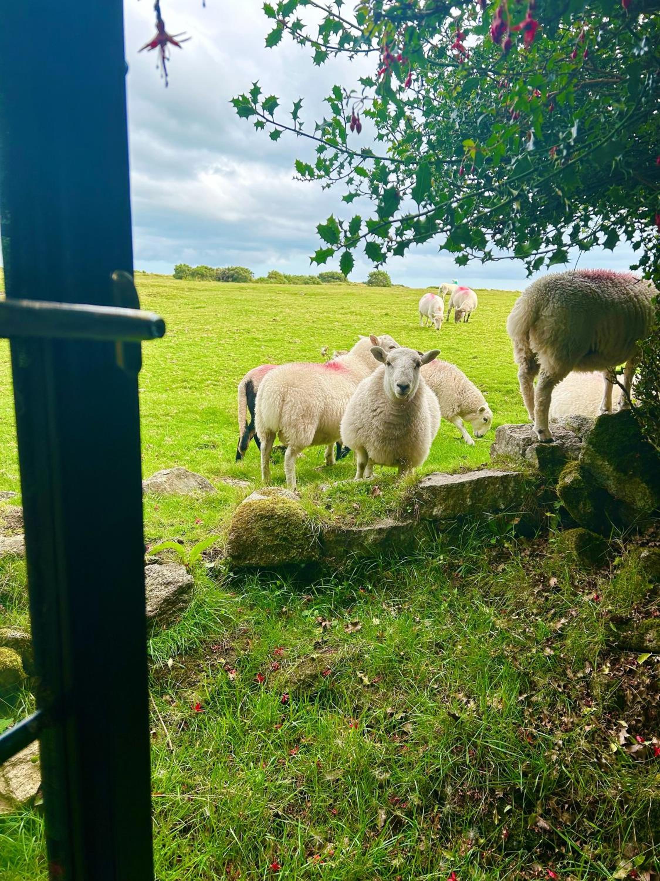 Hallagenna Cottages