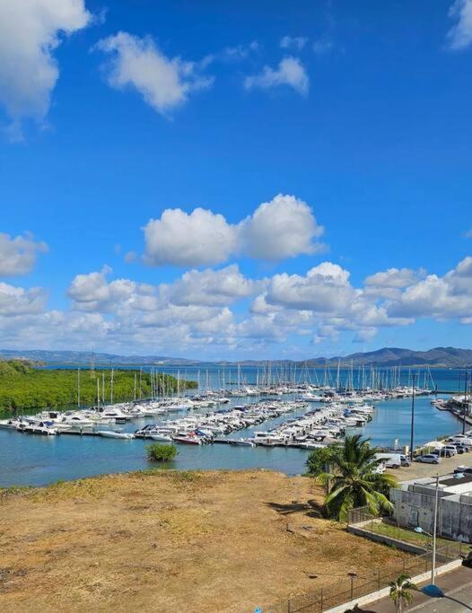 Le Studio Rosa Bay et sa magnifique vue mer à l'Étang Z'Abricot