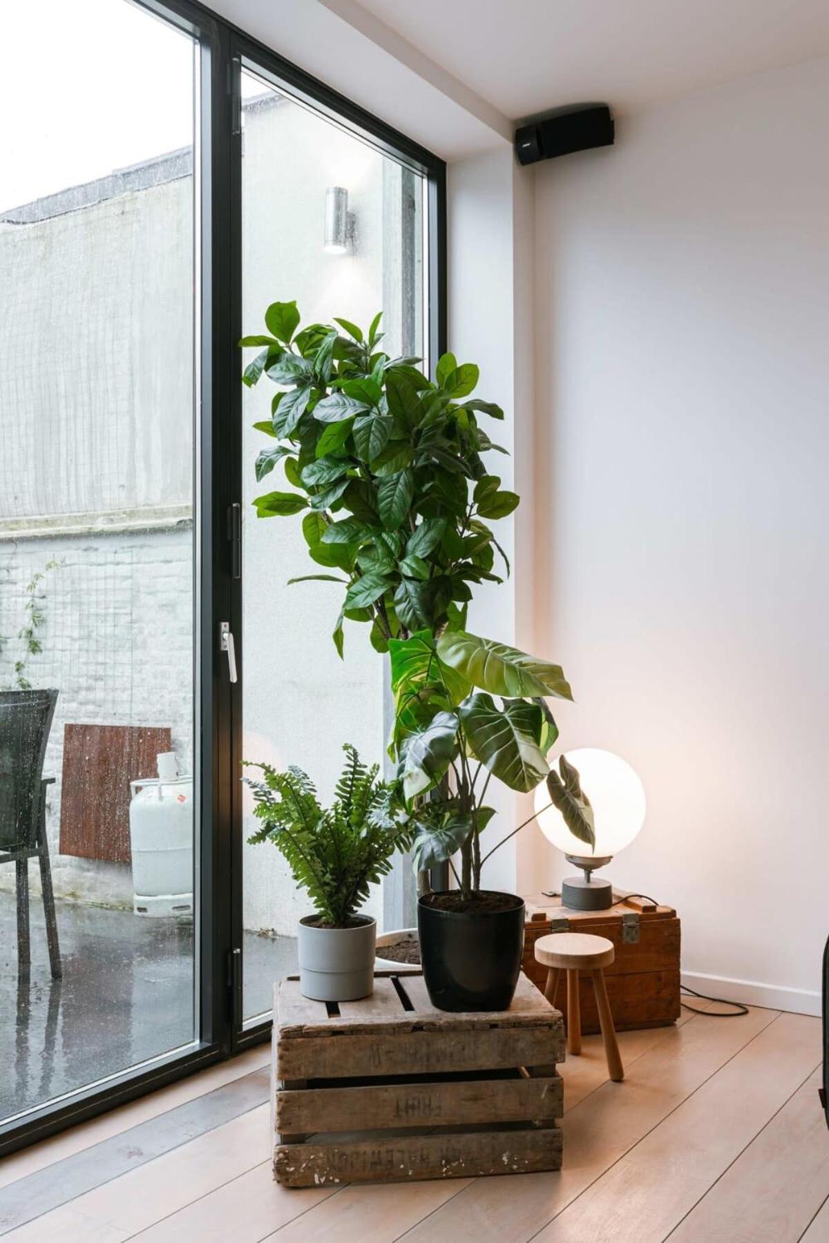Charming urban retreat 15 Minutes from Central Station