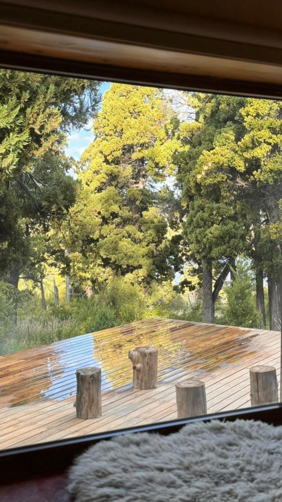 La casita del Bosque