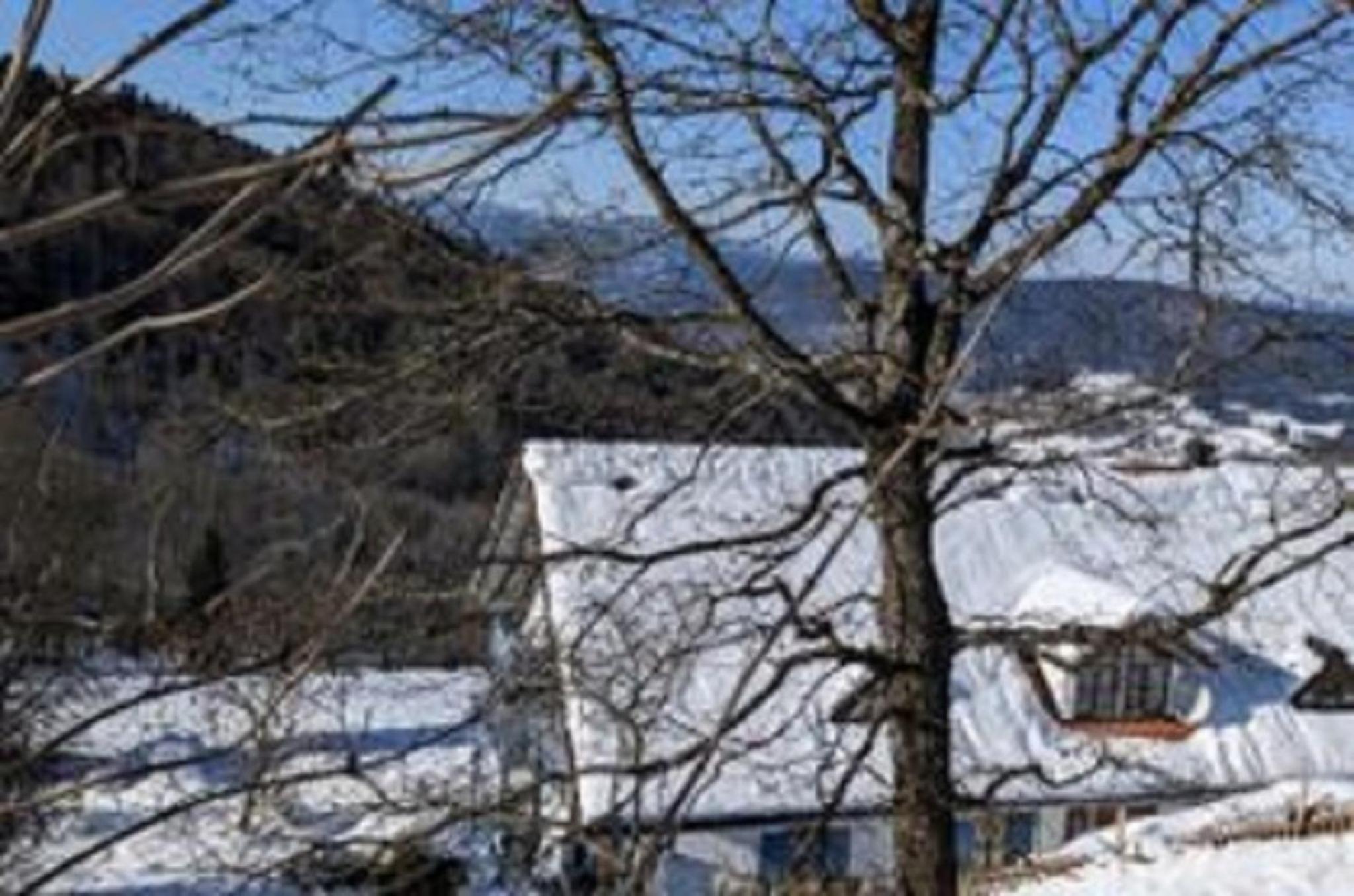 Ferienland Sonnenwald FEWO 41 view 5