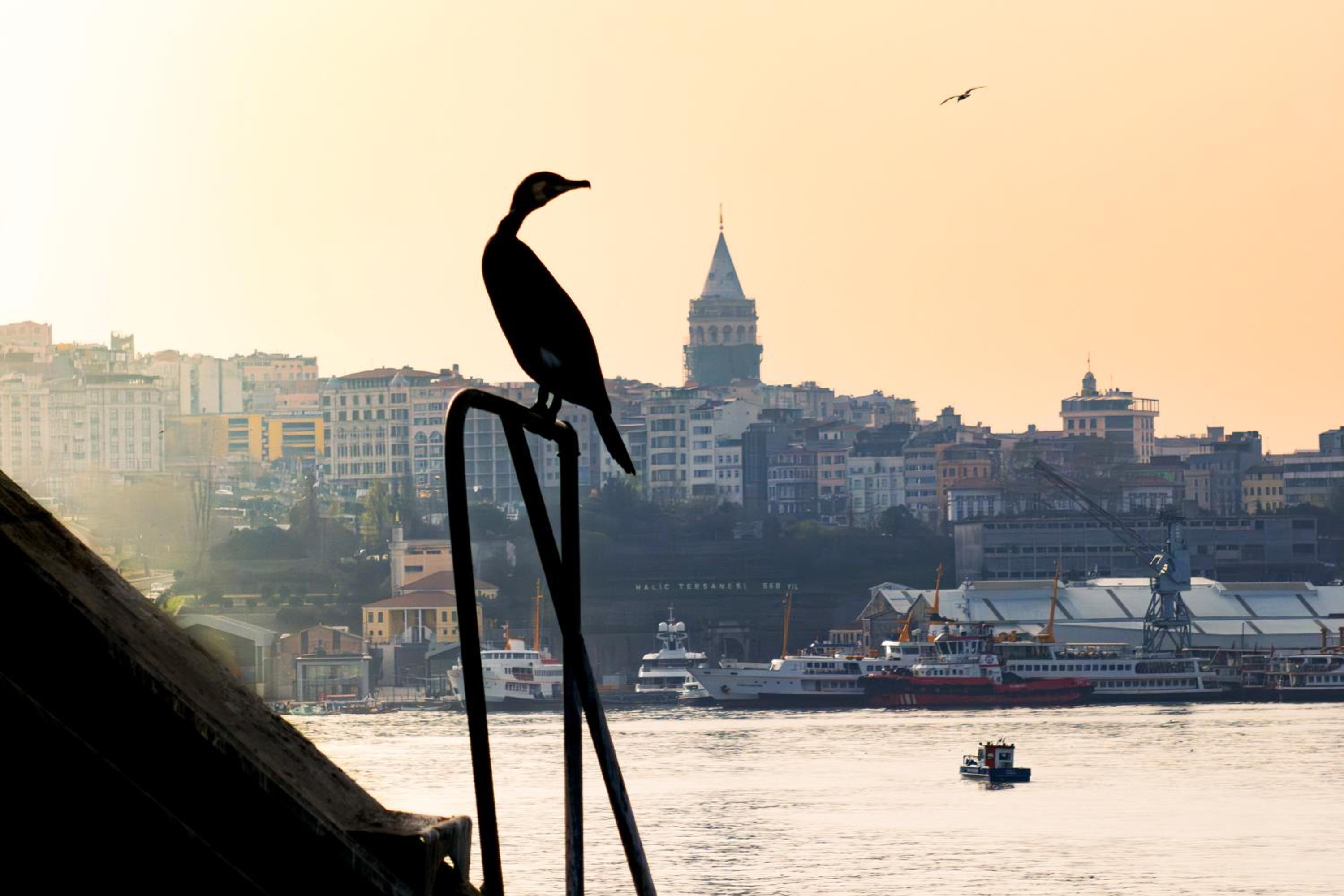 Rixos Tersane Istanbul - Image 58