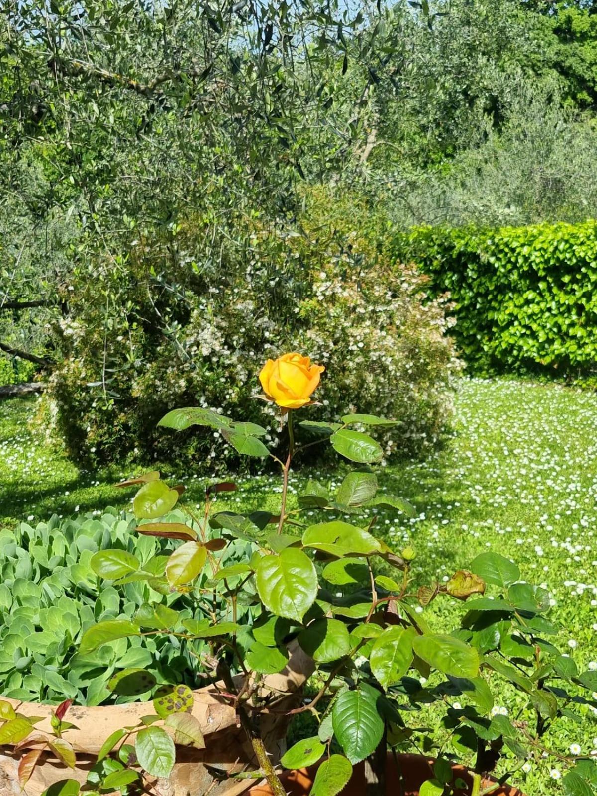 Photo 30