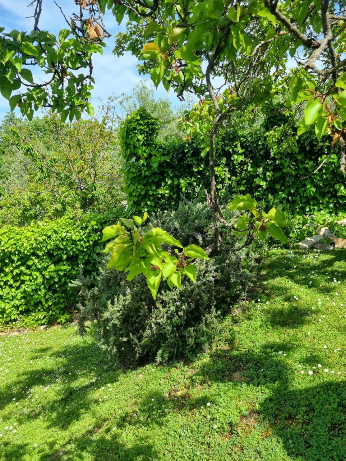 Photo 31
