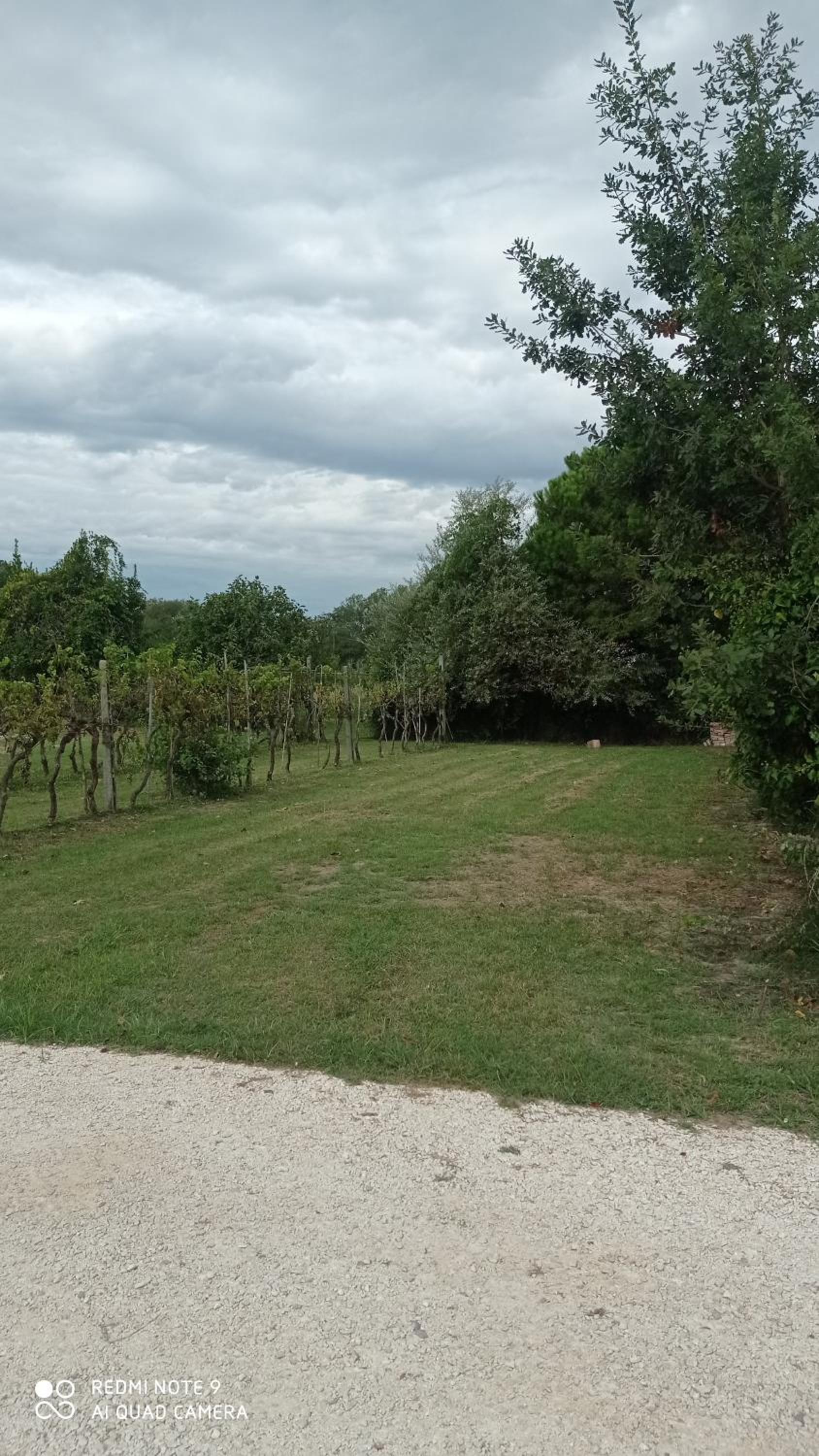Appartamento Residence I Vigneti view 3