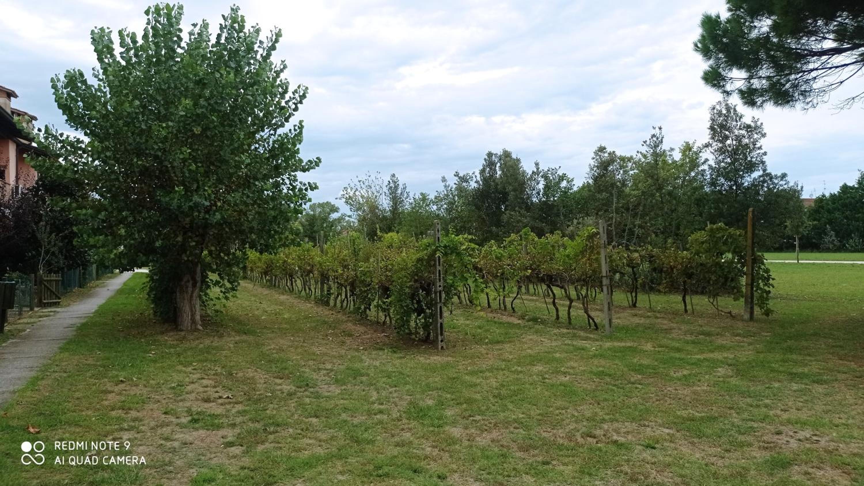 Appartamento Residence I Vigneti view 4