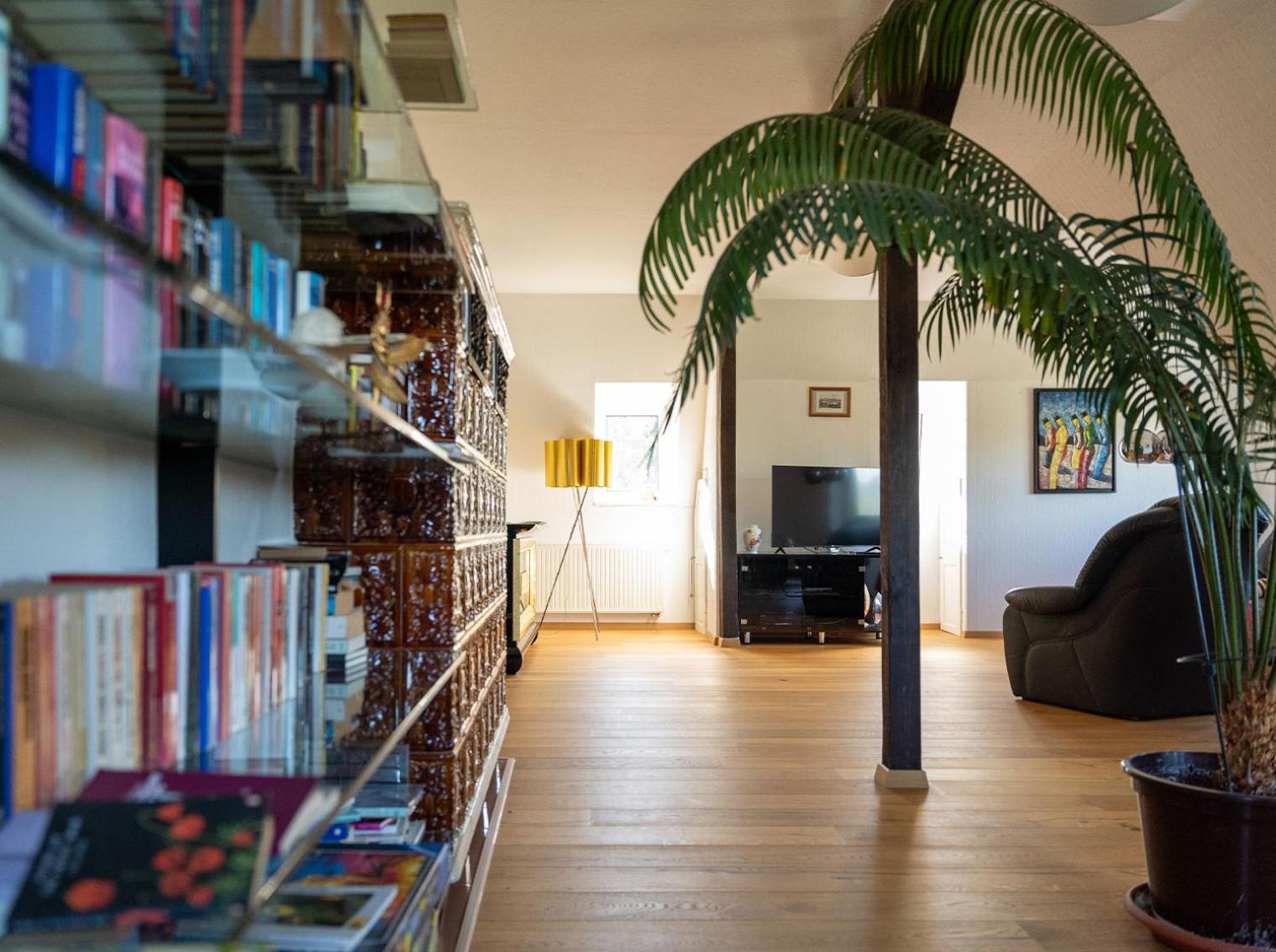 Apartment in Villa Rochlitz