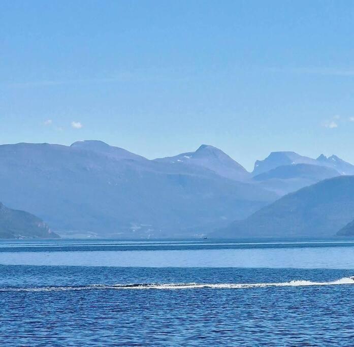 Buavollen