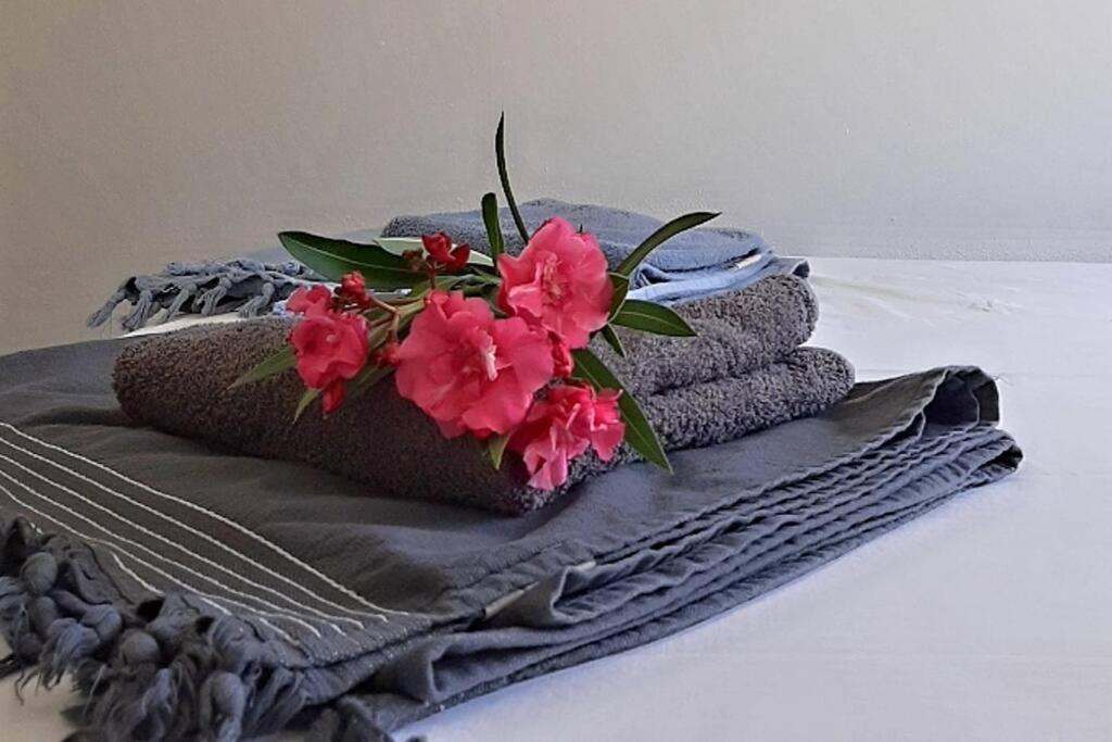 Kas di Rosa Curacao luxurious holiday home