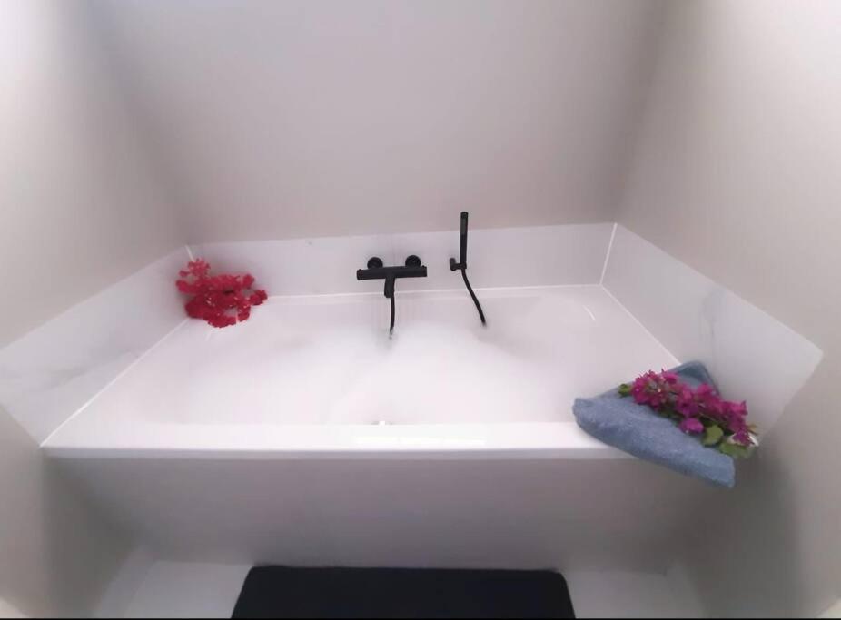 Kas di Rosa Curacao luxurious holiday home