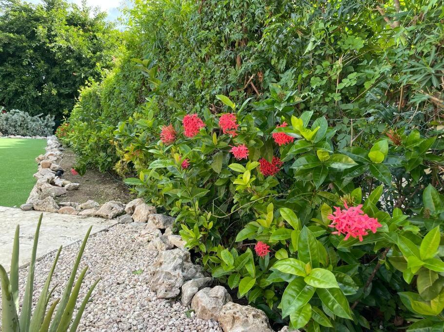 Kas di Rosa Curacao luxurious holiday home