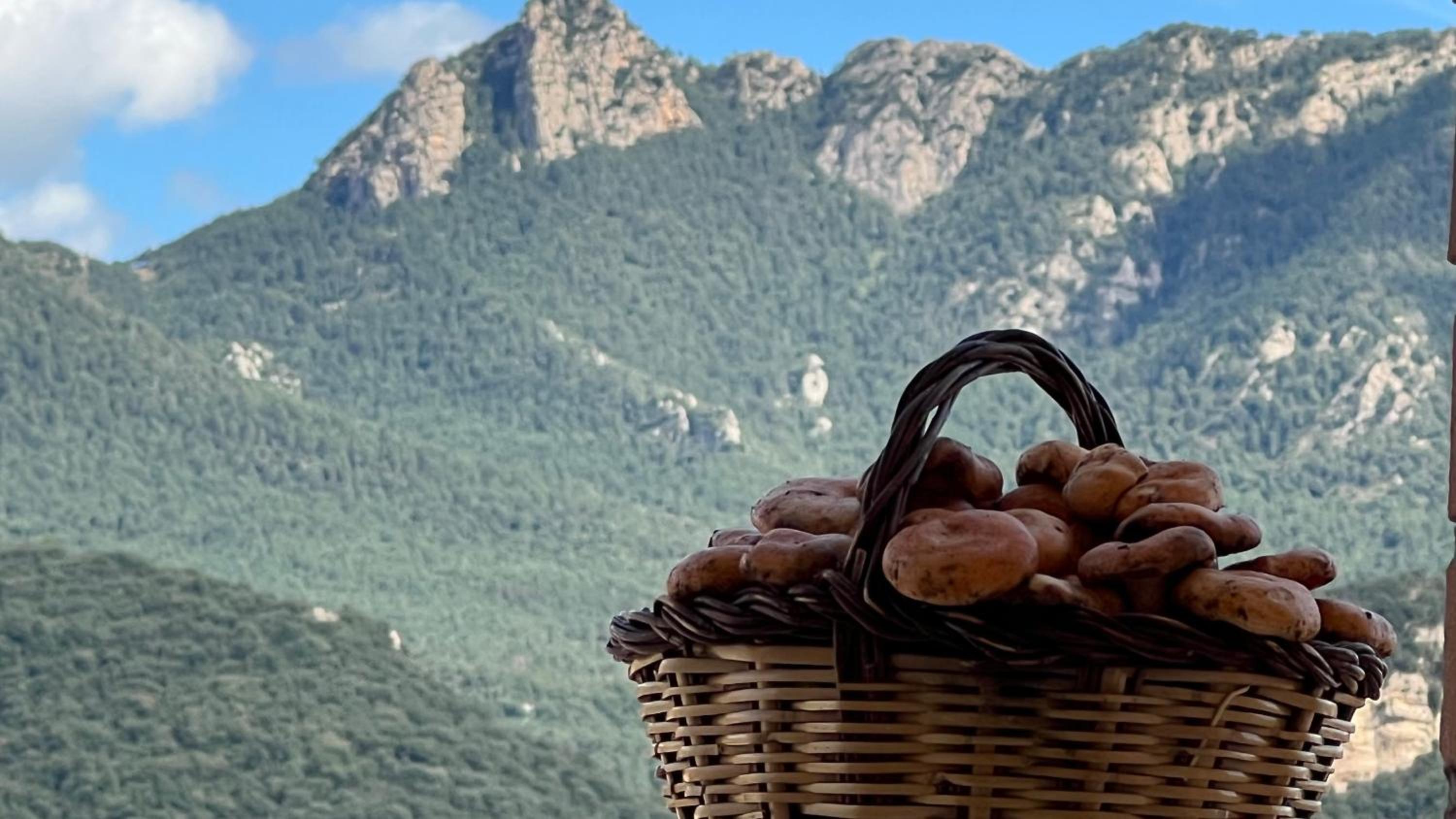 Apartament acollidor al Berguedà 6p
