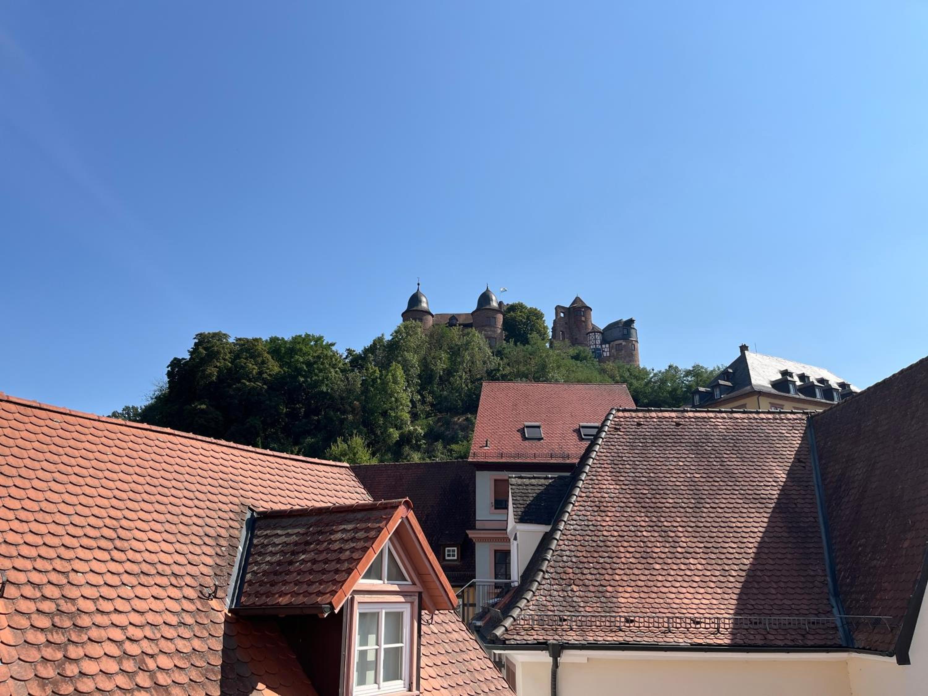 La Flamme Wertheim garni
