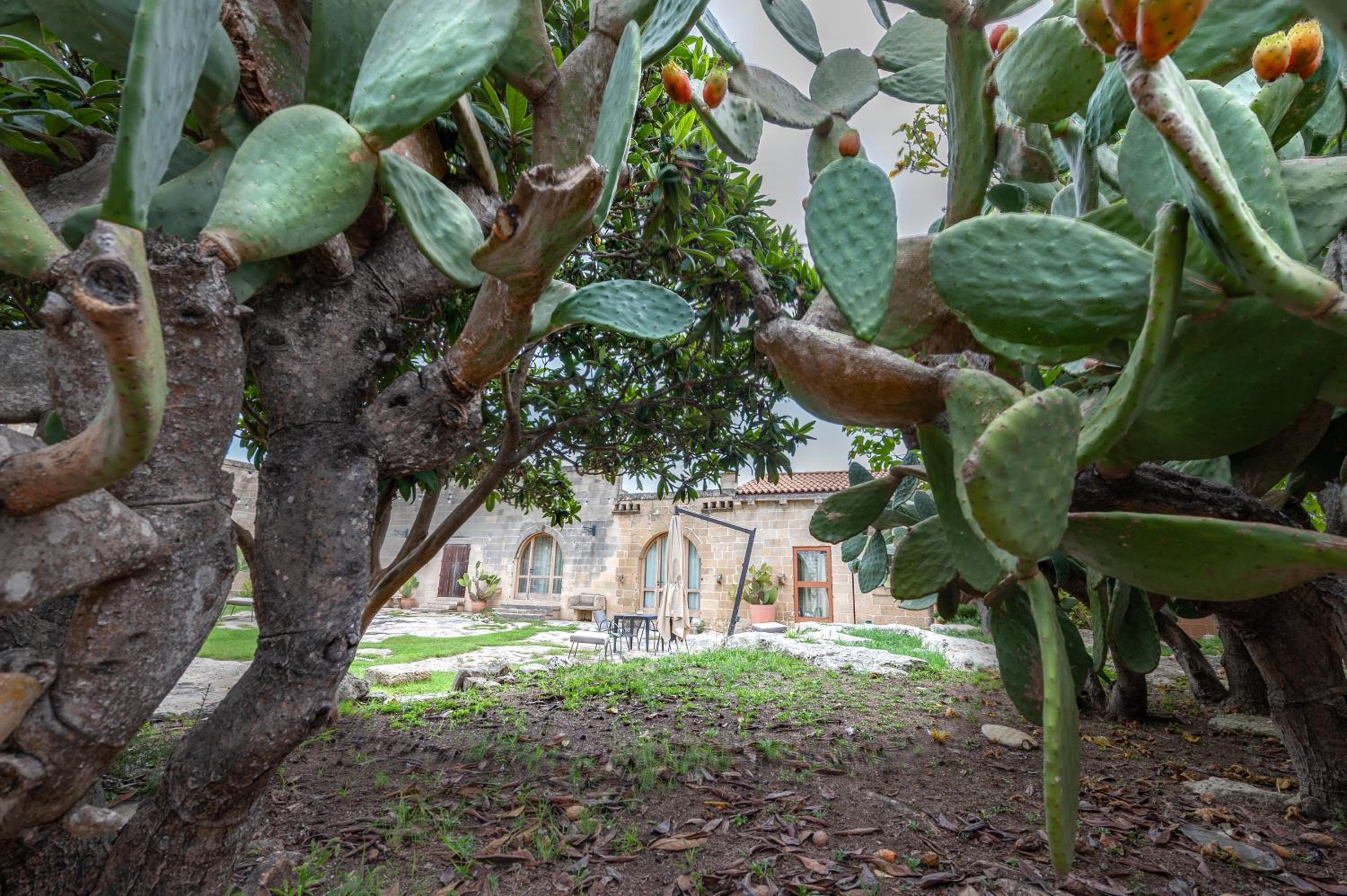 Masseria Copertini