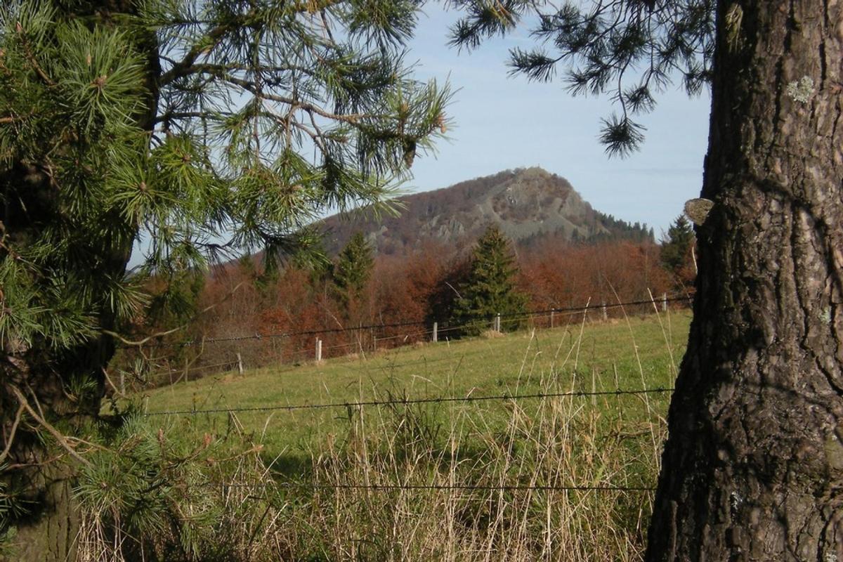 Rhön Residence