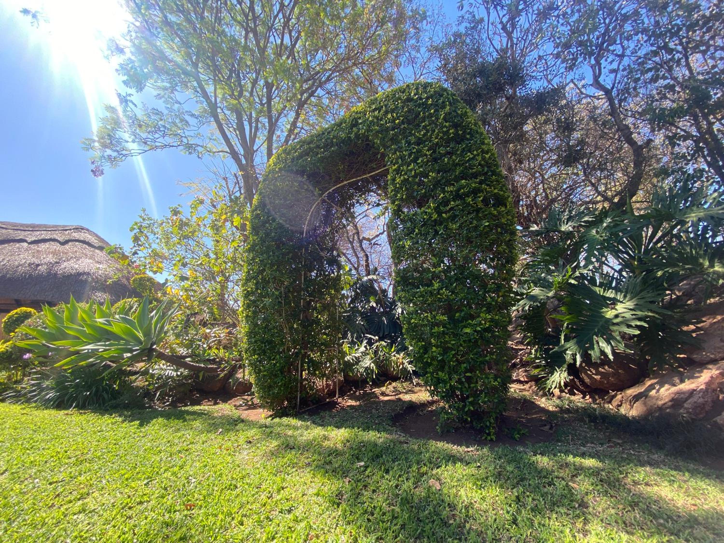 Photo 15