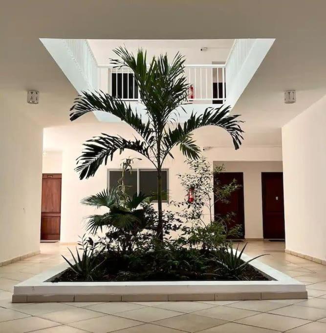 Modern Studio Apartment with Access to Kite Beach