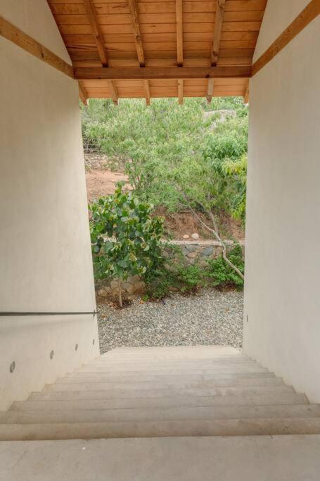 Photo 51