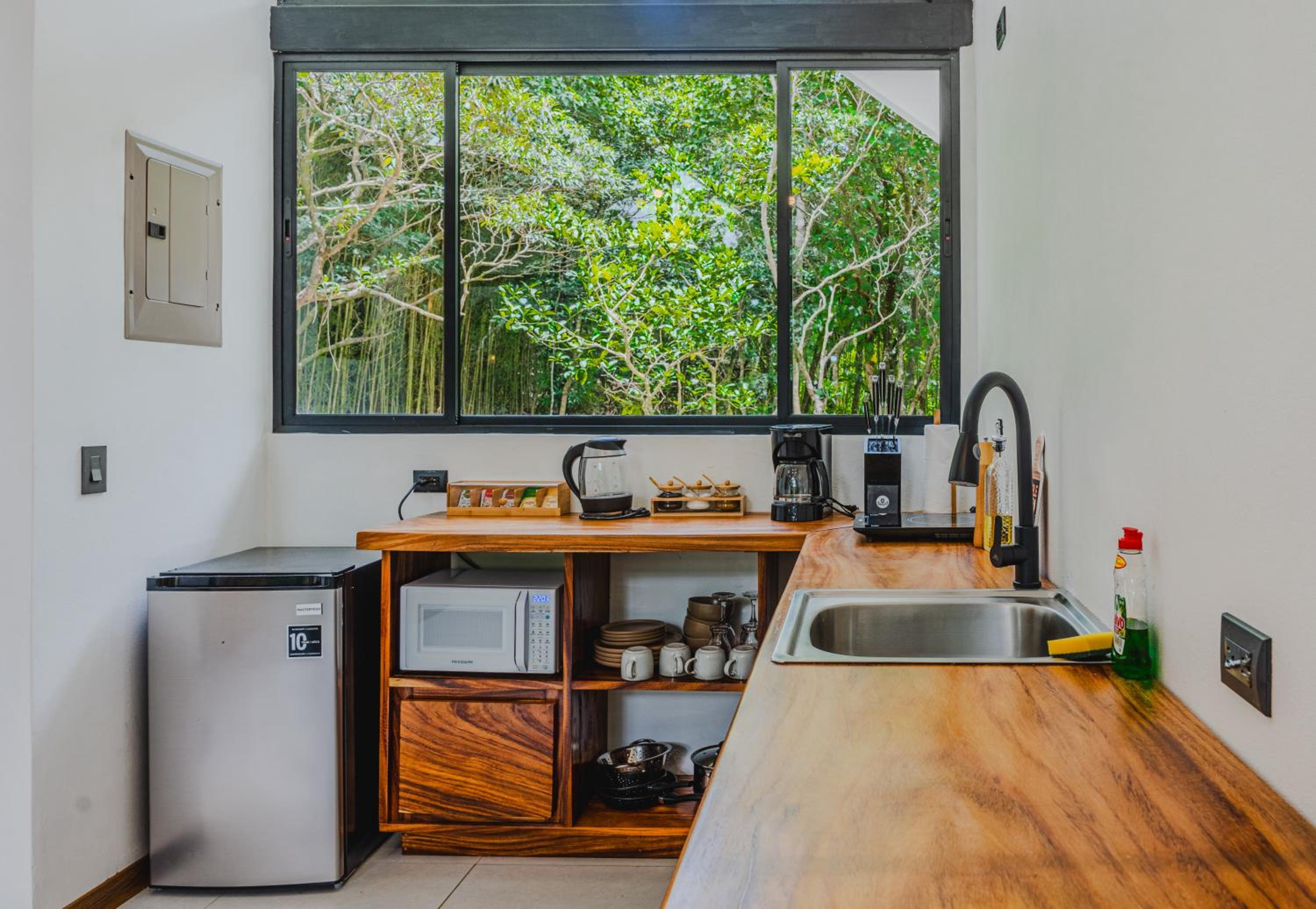 Floresta Monteverde
