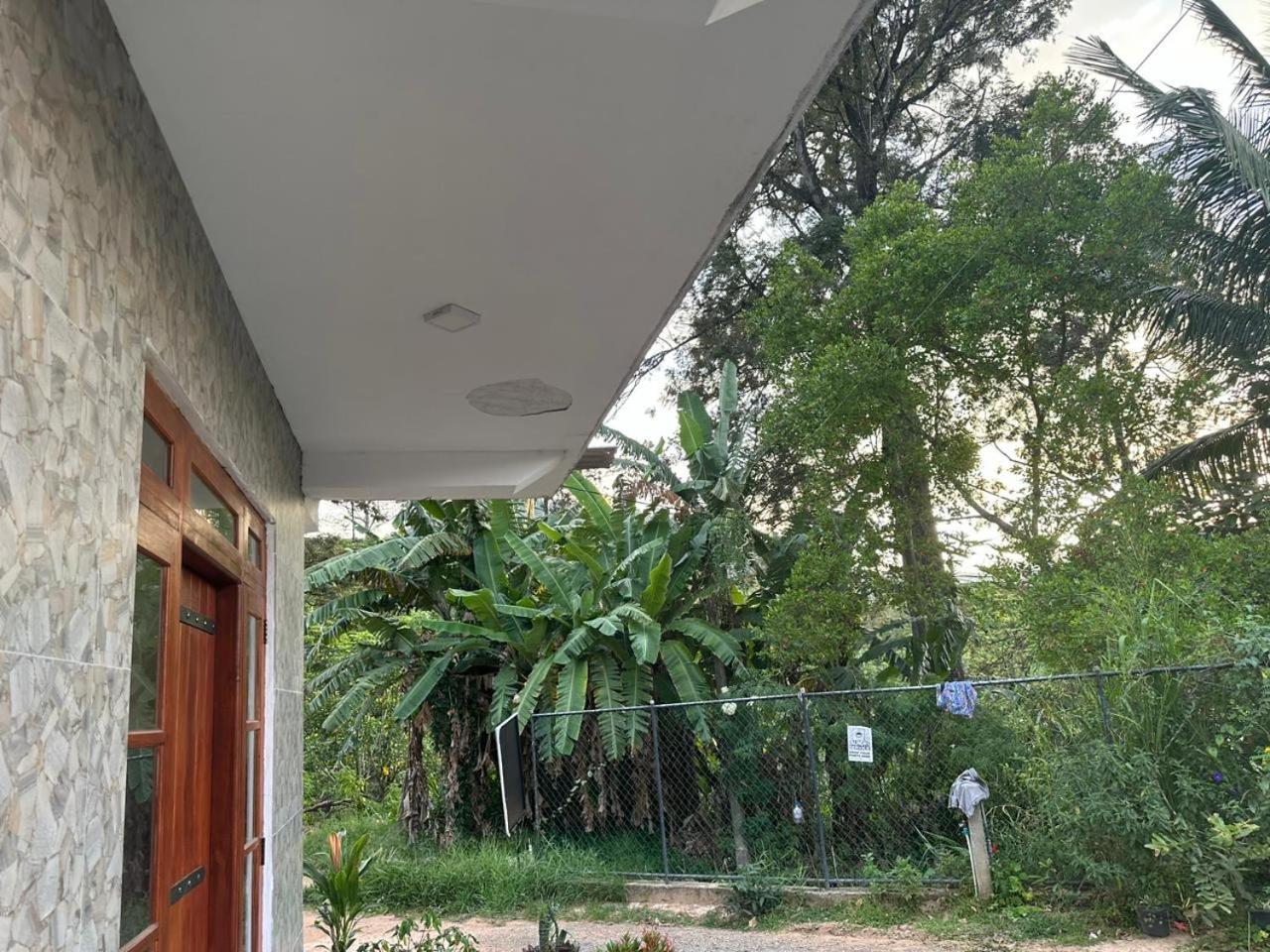 why not guest house ella view 2