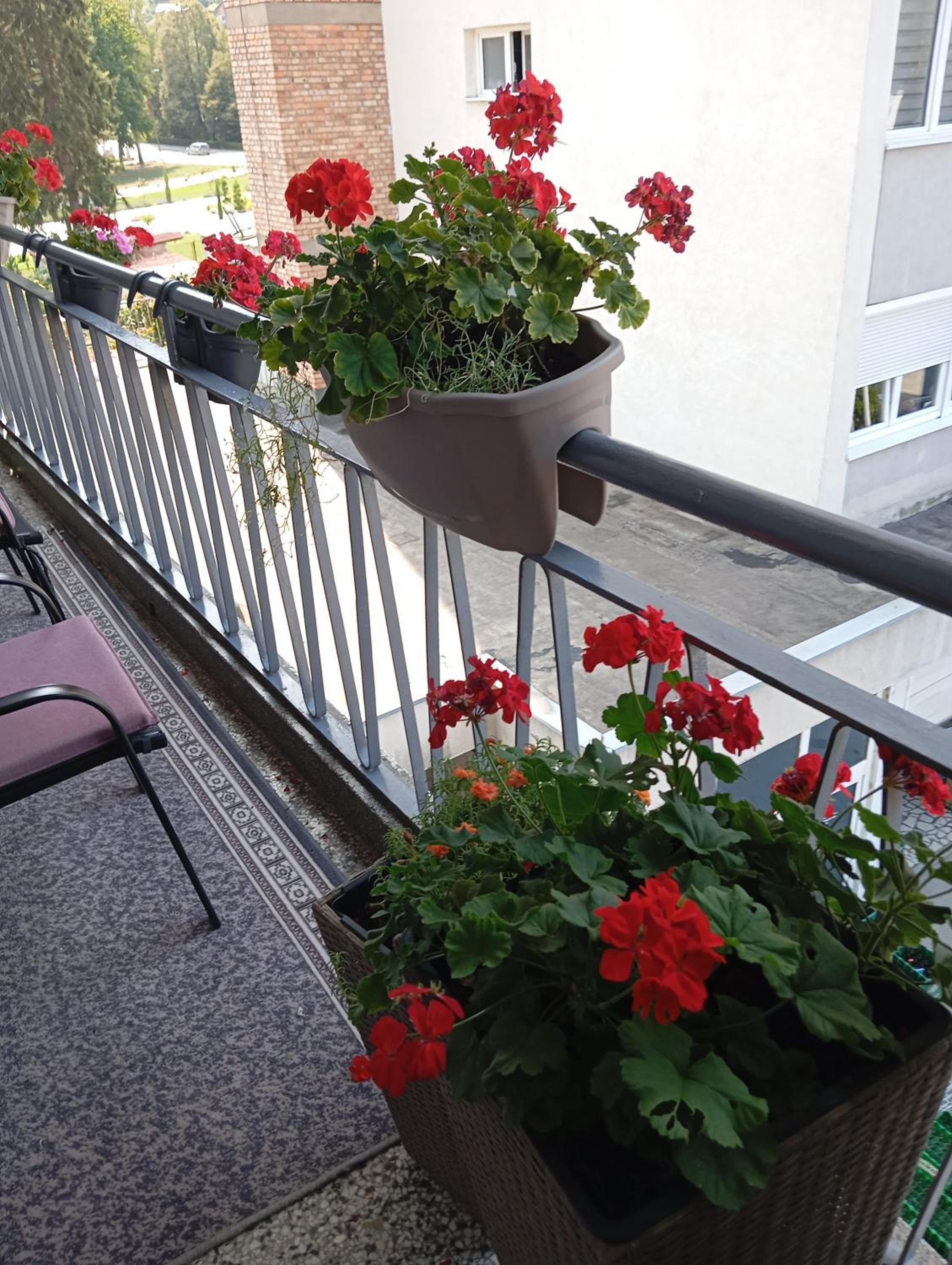 Apartman Radanović
