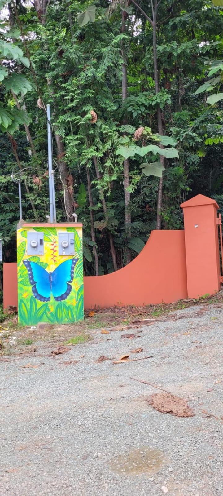 TREEHOUSE PILON PAVONES