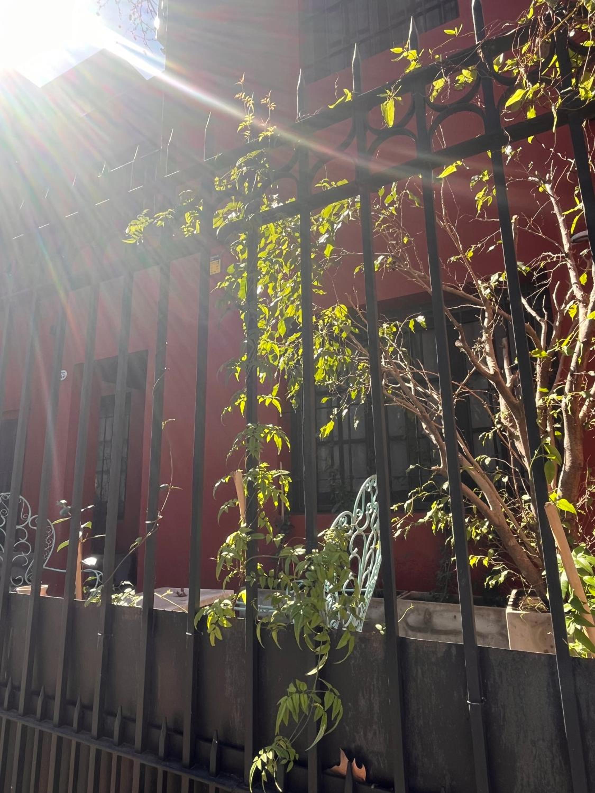 Hermosa casita con jardín Goldas Haus