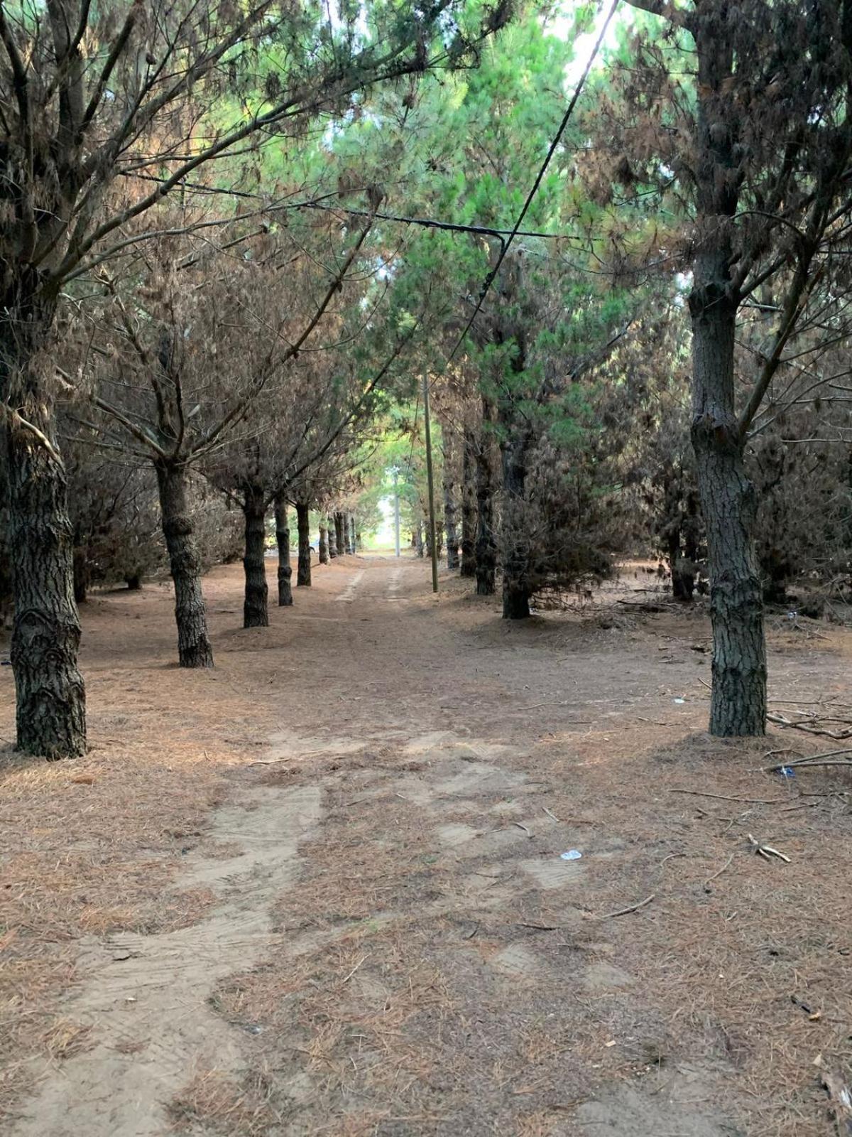Casa de Campo La Maribel