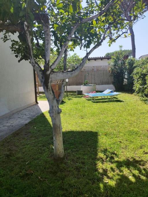 Villa Amalia - condominium private beach view 4
