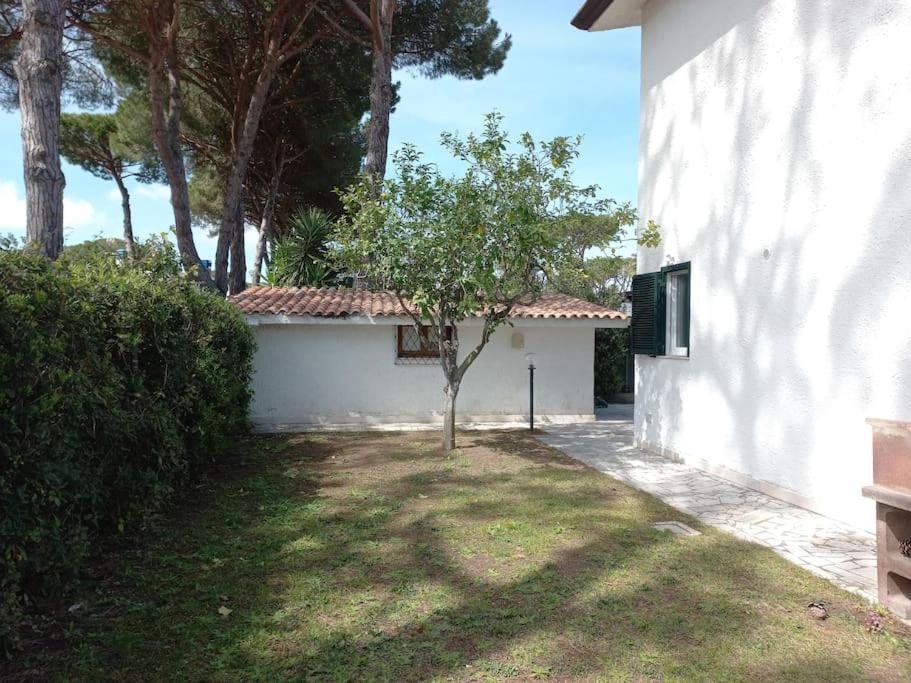 Villa Amalia - condominium private beach view 5