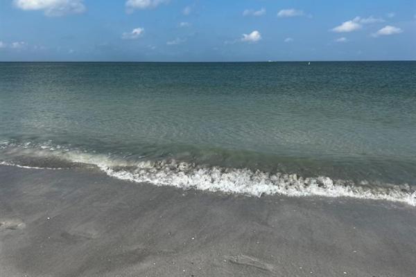 Oasis Getaways Escape the COLD!