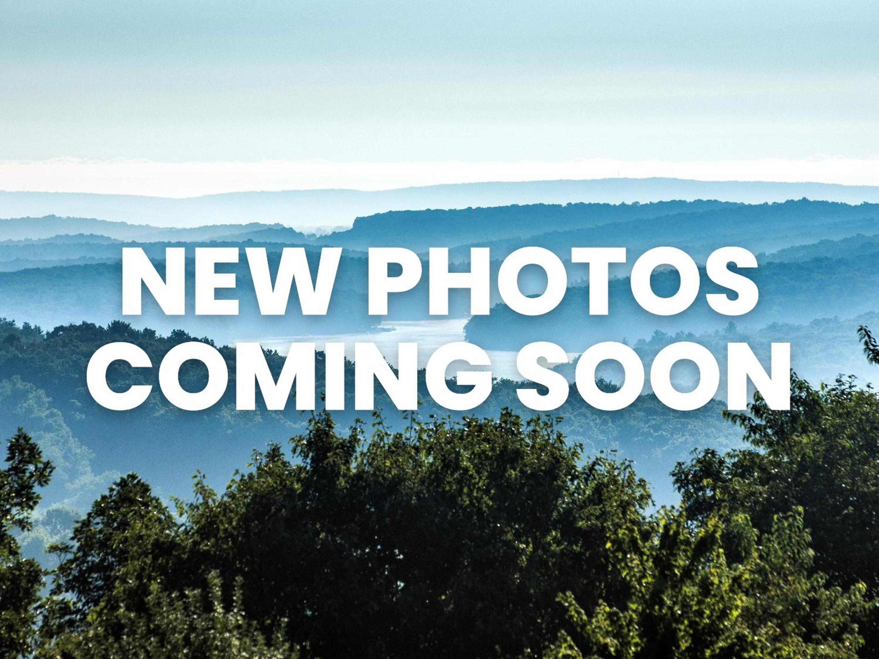 Golden Crest