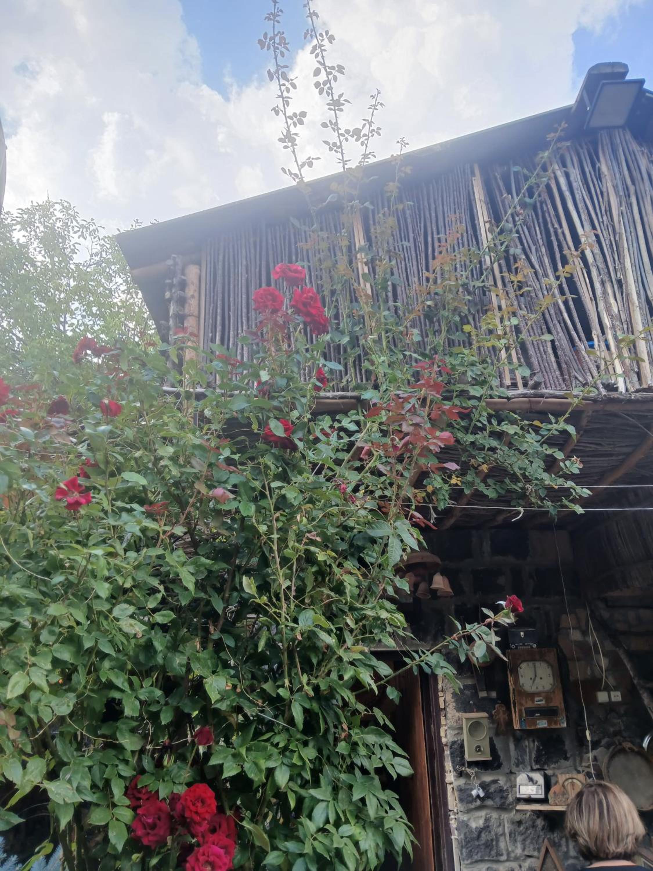 Parsamyan's family guest house and garden